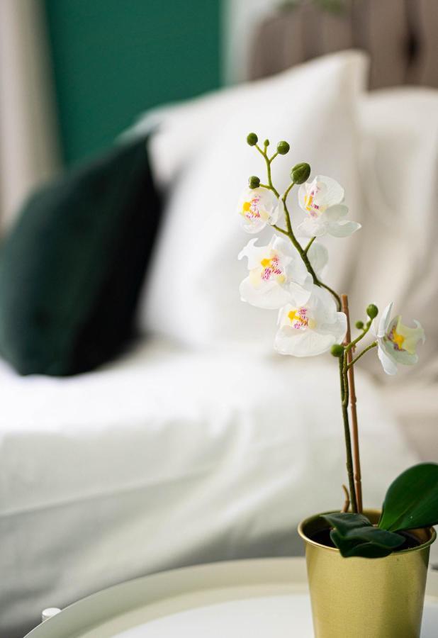 Comfortable House In Nuneaton Sleeps5 Free Parking Good Amenites ภายนอก รูปภาพ